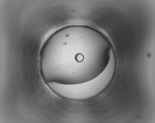 X0000110771472200907061108