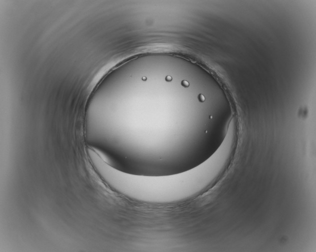 X0000110771473200907061108