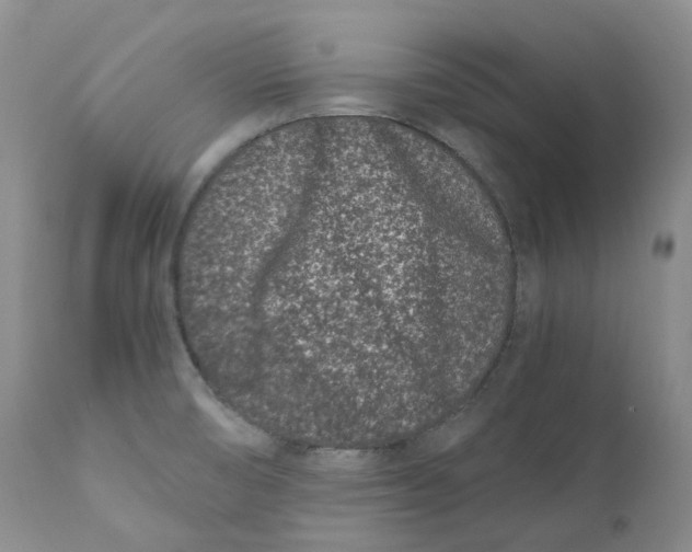 X0000110771474200907061108