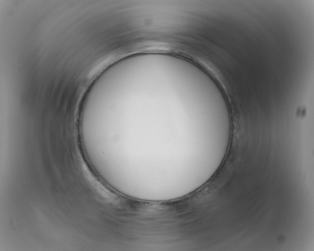 X0000110771475200907061108