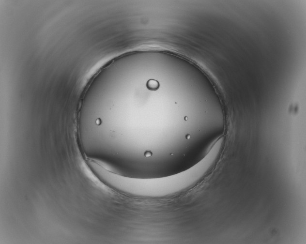 X0000110771476200907061107