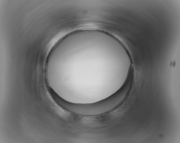 X0000110771477200907061107