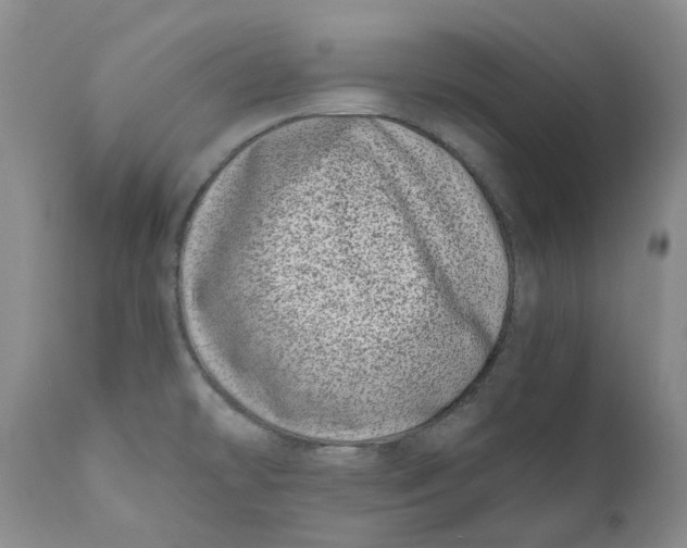 X0000110771478200907061107