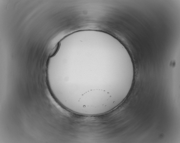 X0000110771479200907061107