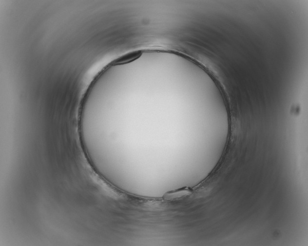 X0000110771480200907061107