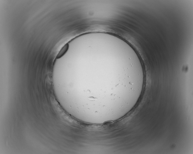 X0000110771481200907061107