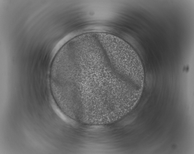 X0000110771482200907061107