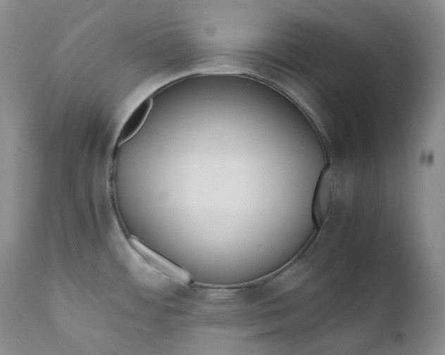 X0000110771484200907061107