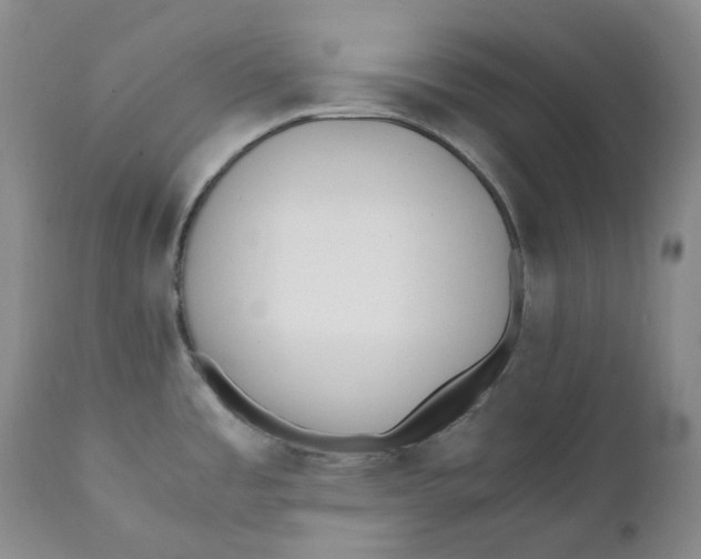 X0000110771485200907061107