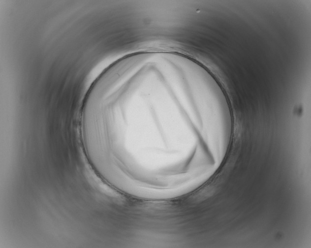 X0000110771486200907061107