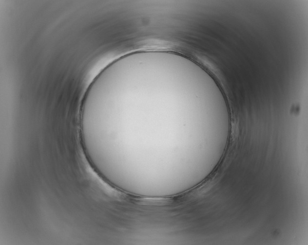 X0000110771487200907061107