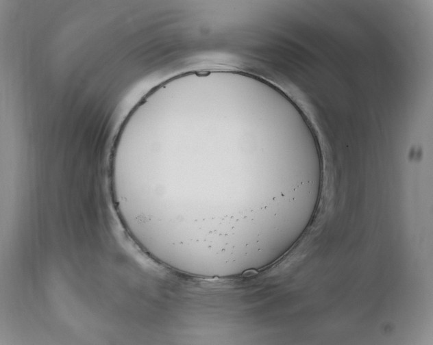 X0000110771488200907061107