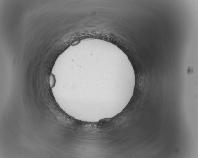 X0000110771489200907061106