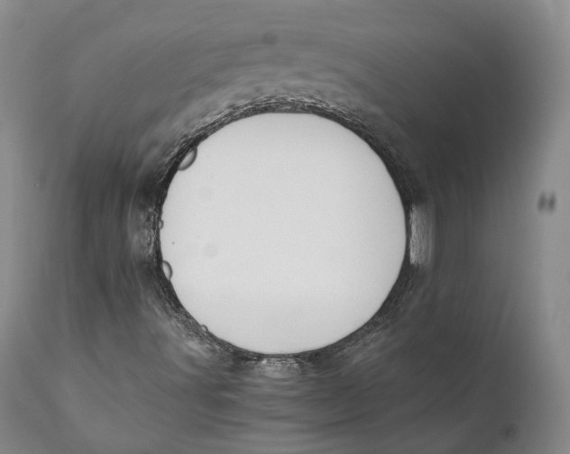 X0000110771491200907061107