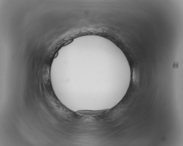 X0000110771492200907061107