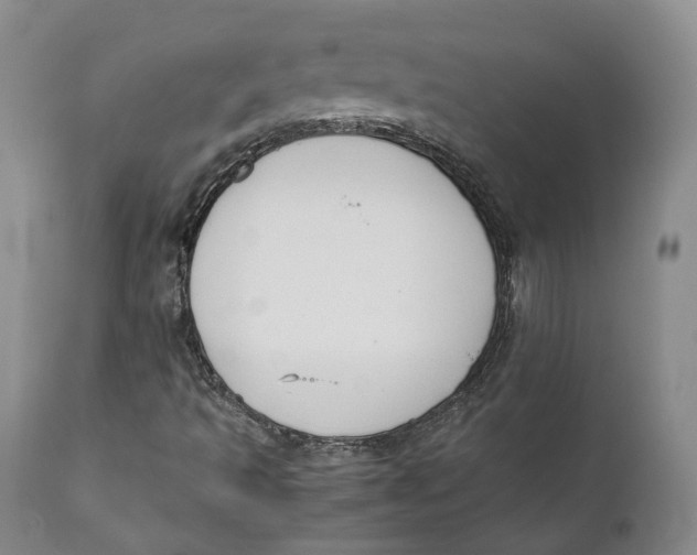 X0000110771493200907061107