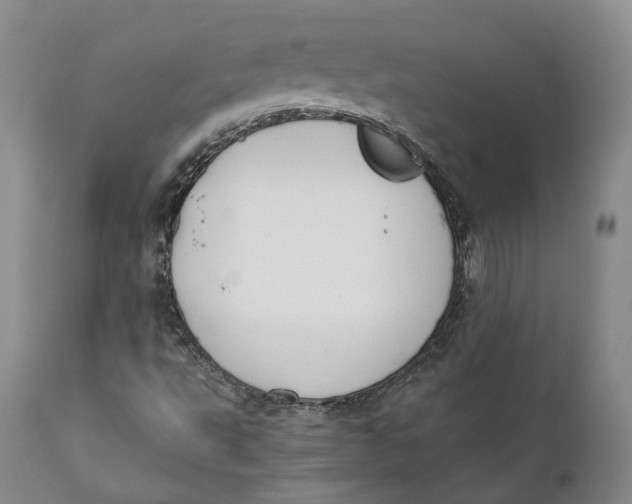 X0000110771495200907061107