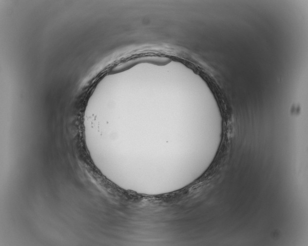 X0000110771496200907061107