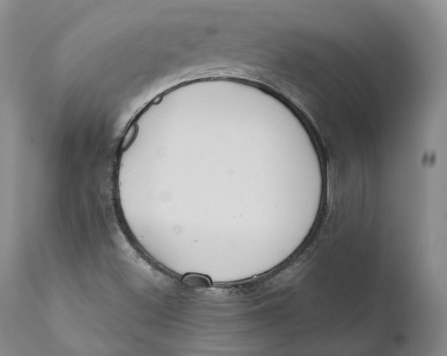 X0000110771500200907061107