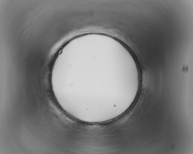 X0000110771502200907061107