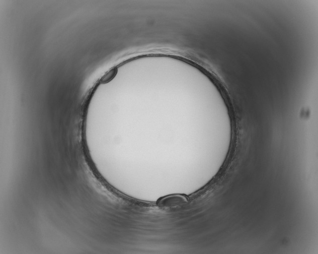 X0000110771504200907061107