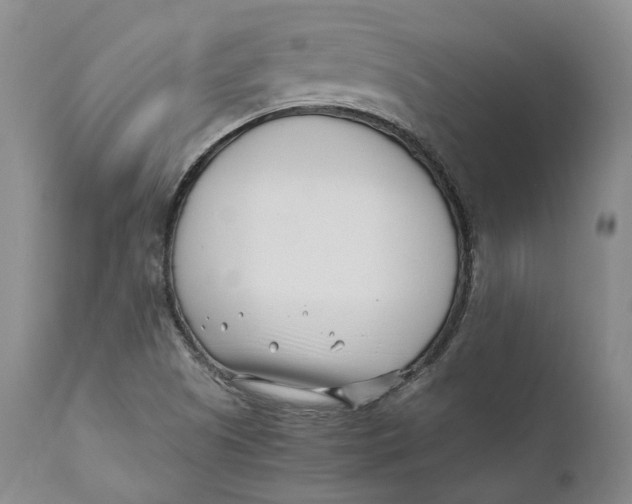 X0000110771505200907061107