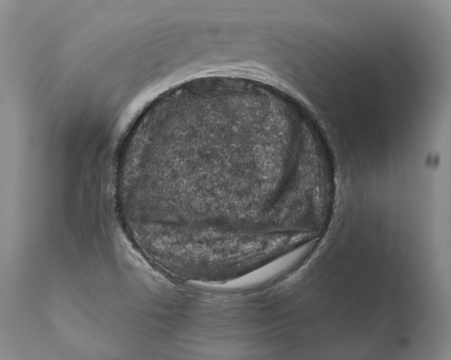 X0000110771506200907061107