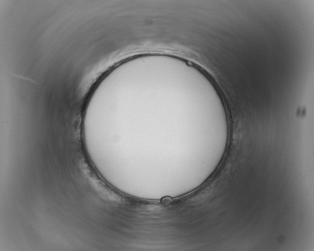 X0000110771507200907061107