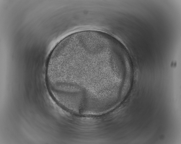 X0000110771508200907061107