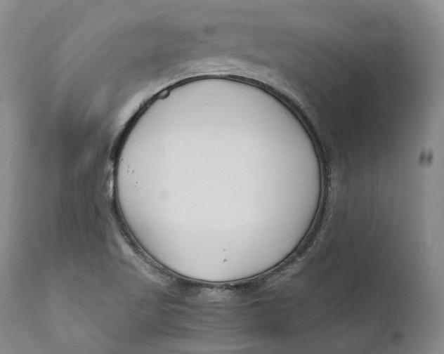 X0000110771509200907061107