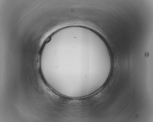 X0000110771510200907061107