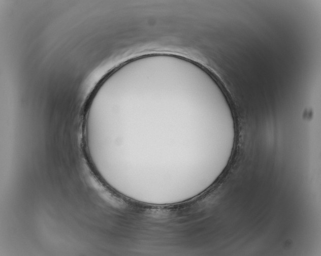 X0000110771511200907061107