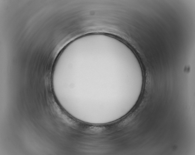 X0000110771513200907061107