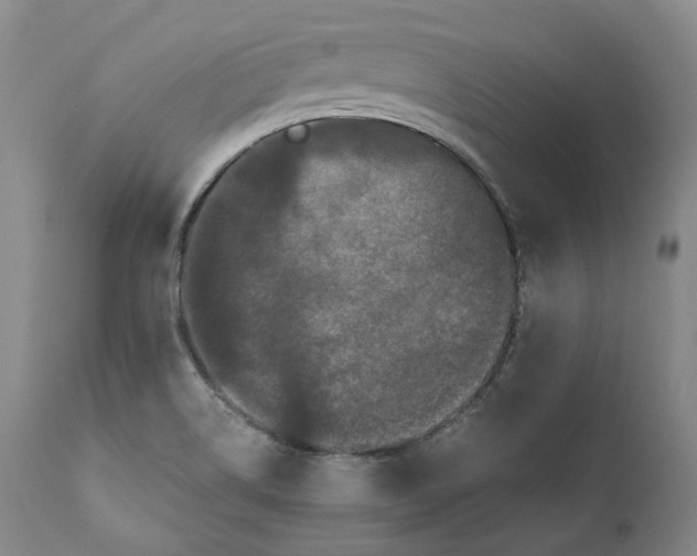 X0000110771514200907061107