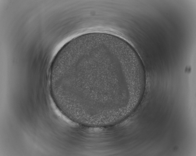 X0000110771515200907061107