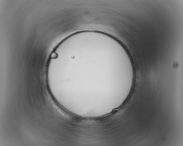 X0000110771517200907061107