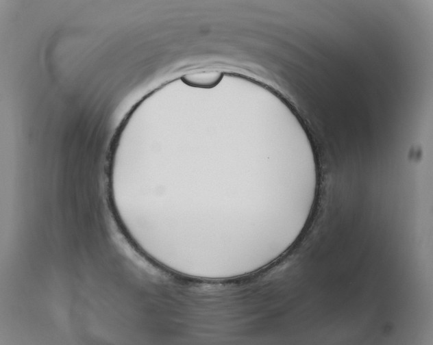 X0000110771518200907061107