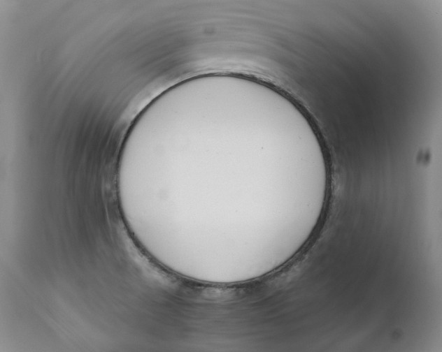 X0000110771521200907061107