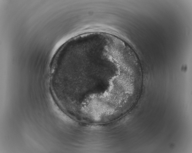 X0000110771522200907061107