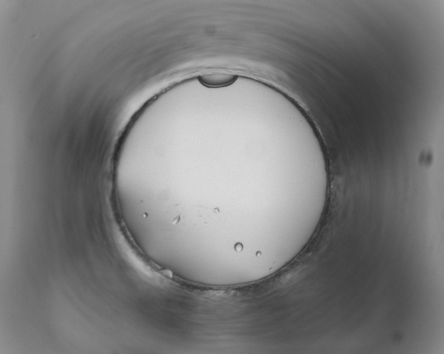 X0000110771523200907061107