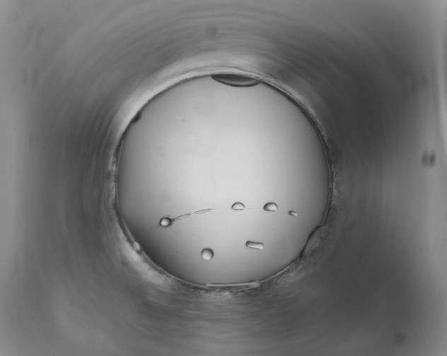 X0000110771524200907061107