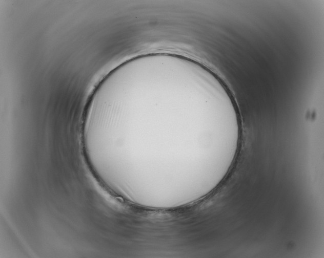 X0000110771525200907061107