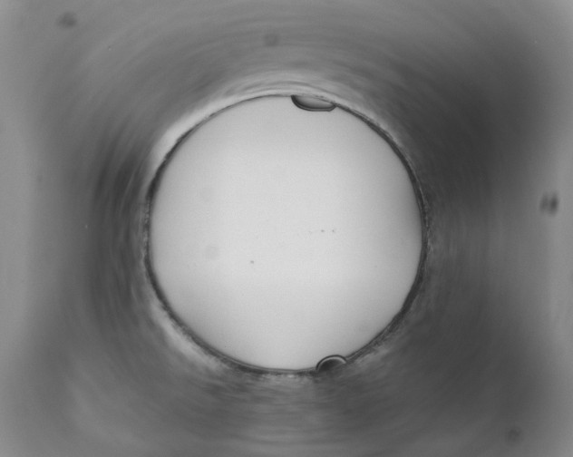 X0000110771526200907061107