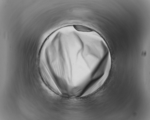 X0000110771527200907061107