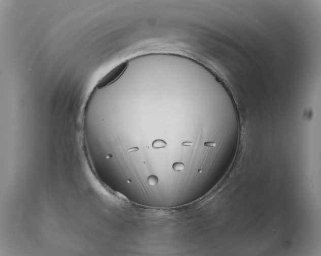 X0000110771528200907061107