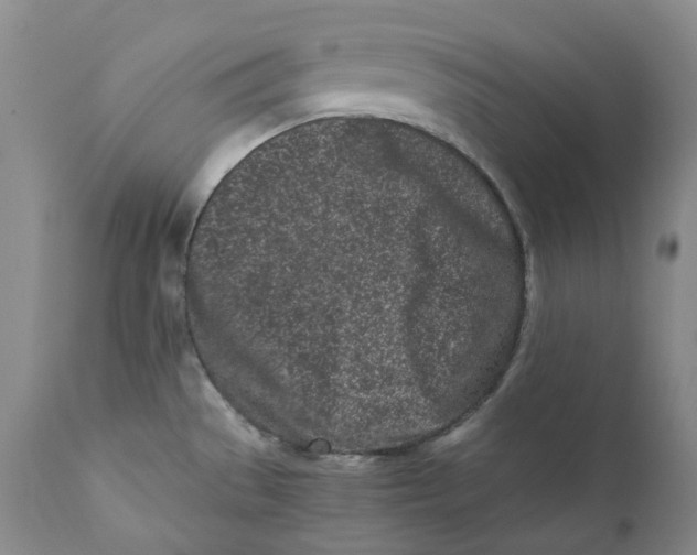 X0000110771529200907061107