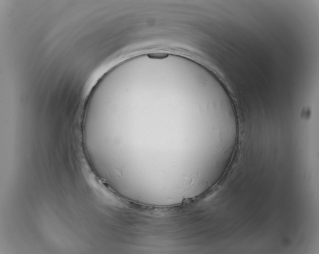 X0000110771530200907061107