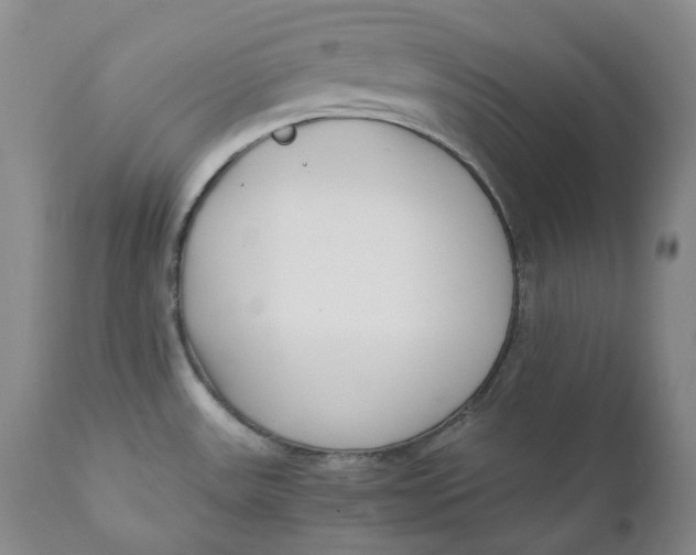 X0000110771531200907061107