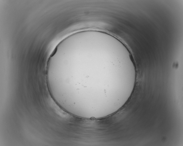 X0000110771532200907061107