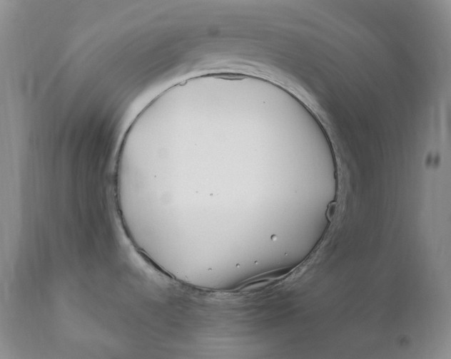 X0000110771536200907061107